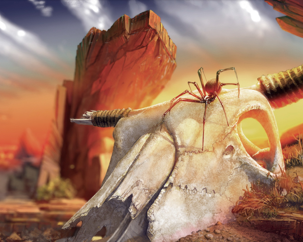 Паук на черепе