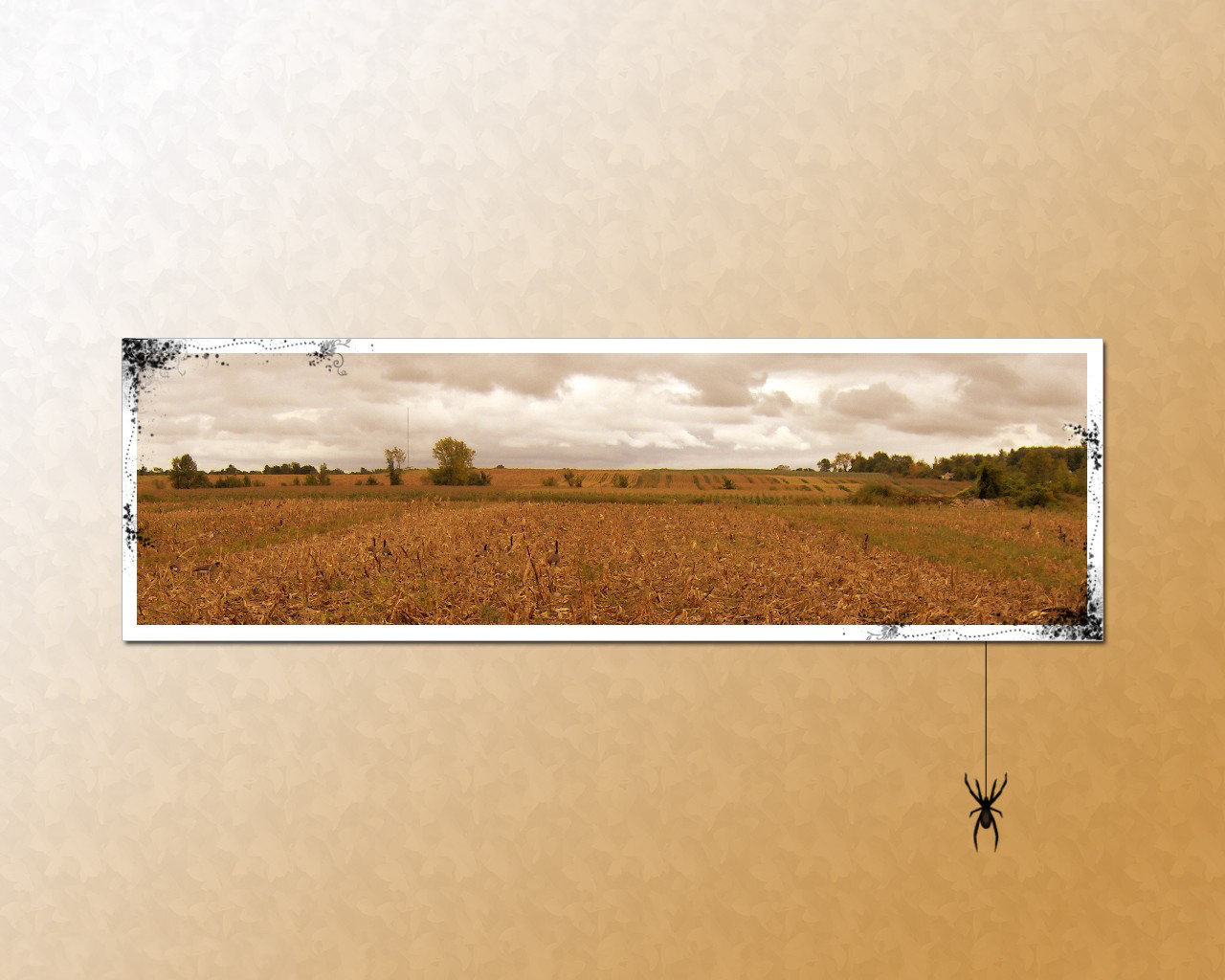 Паук на картине