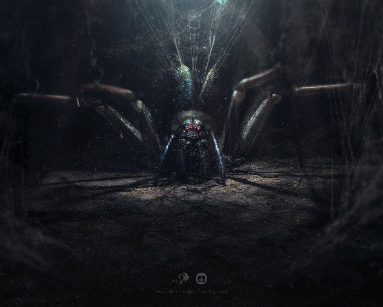 Огромный паук в своем логове