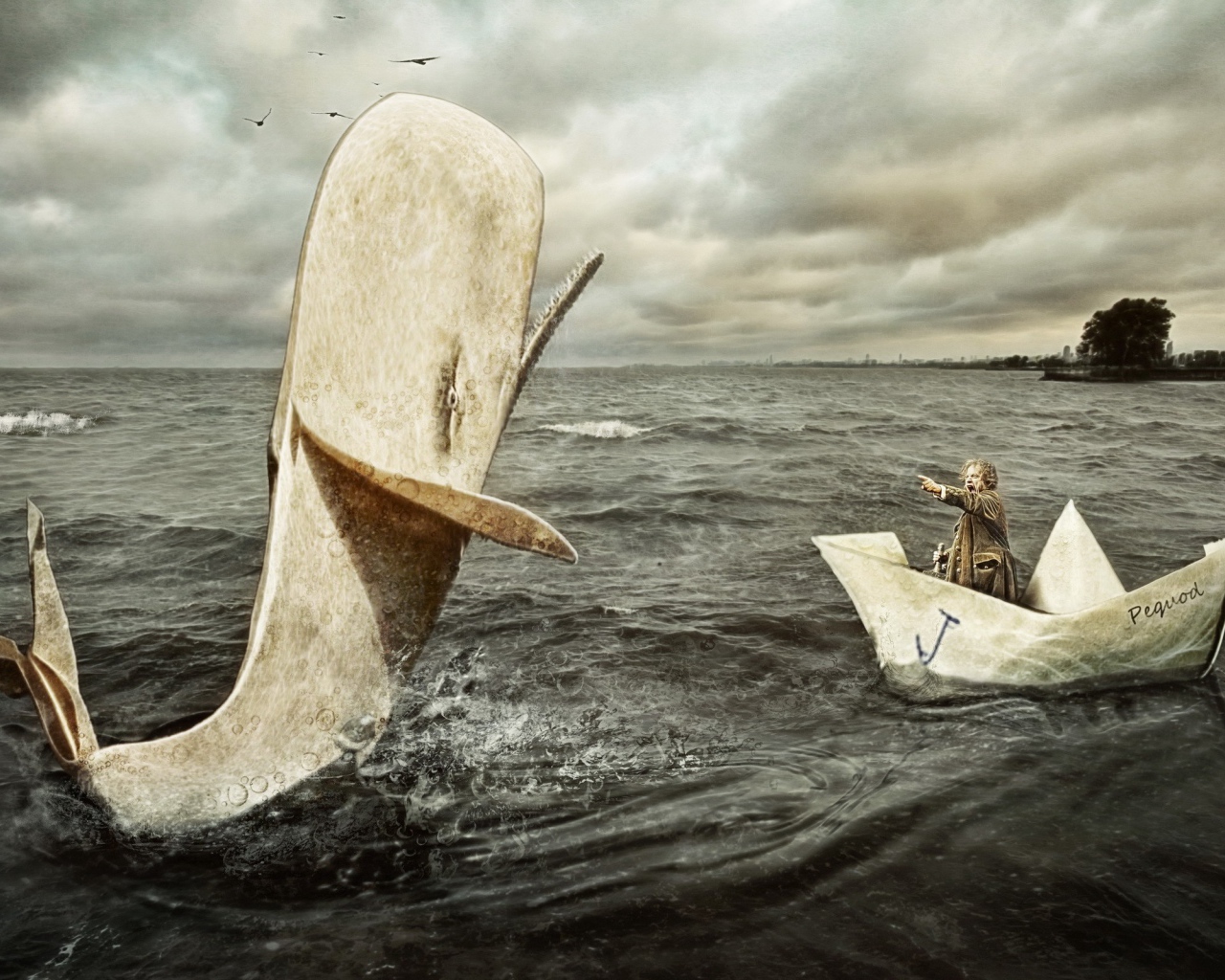 Мужчина в бумажном кораблике и касатка