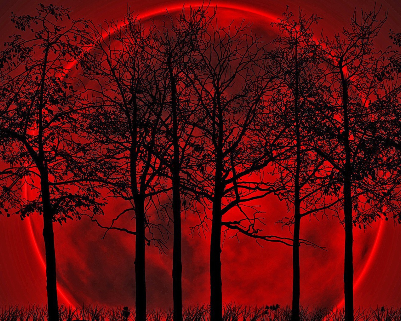 Кровавая луна позади деревьев