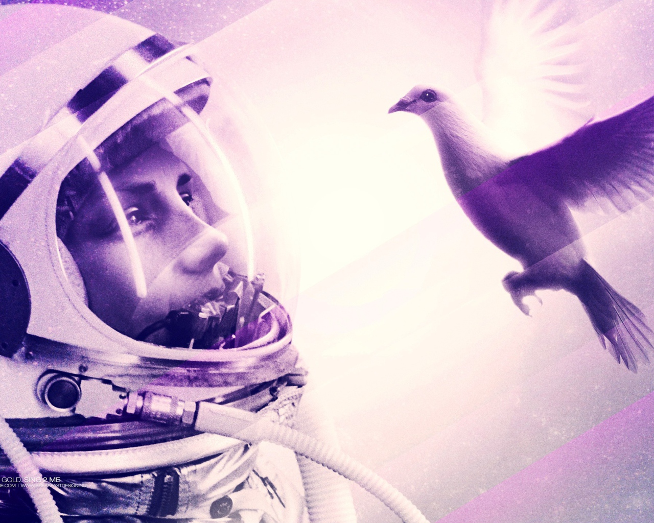 Космонавт смотрит на птицу
