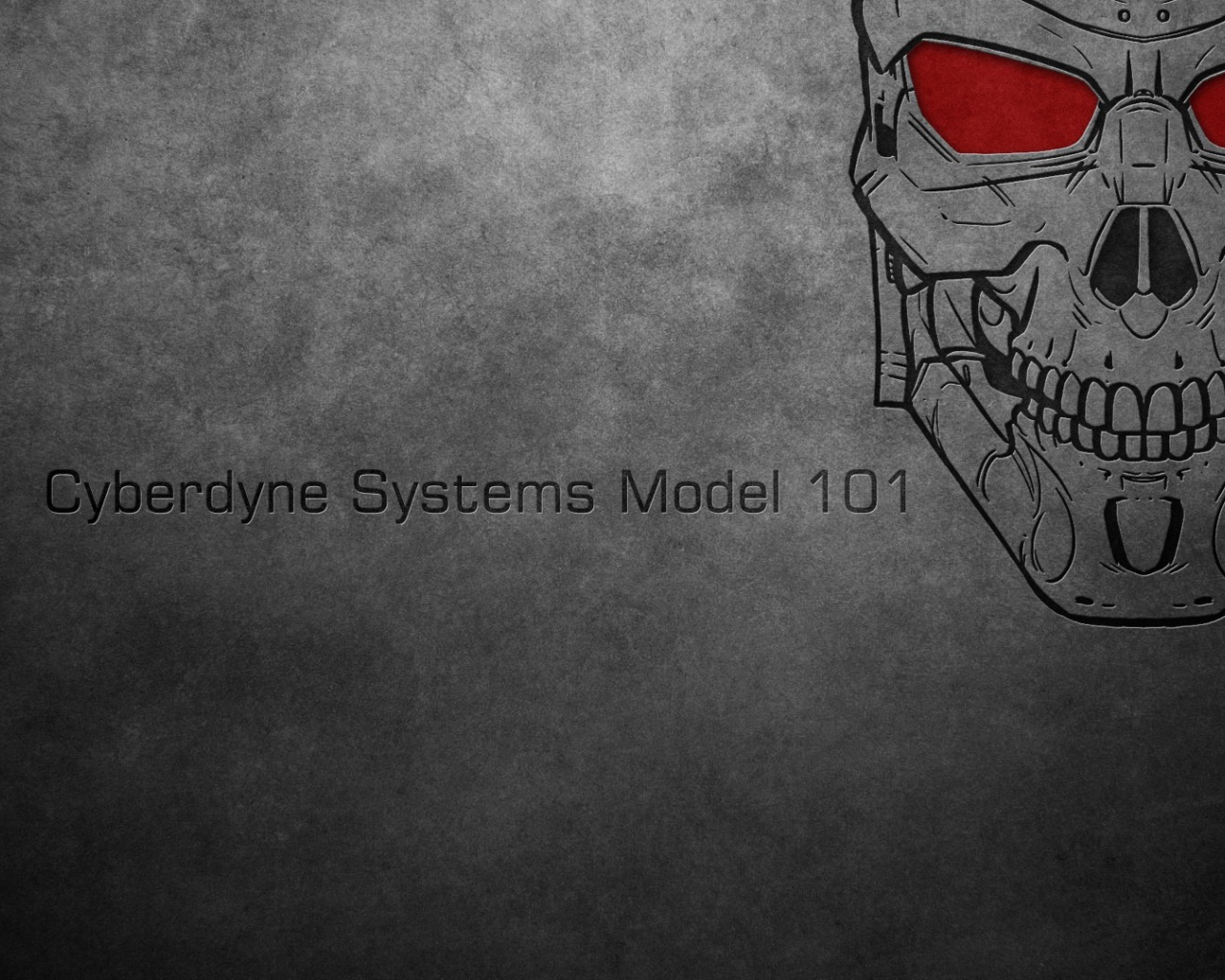 Модель 101 Сайбердайн системс