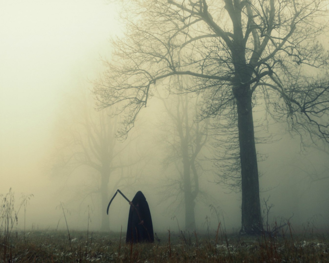 Смерть в темном лесу