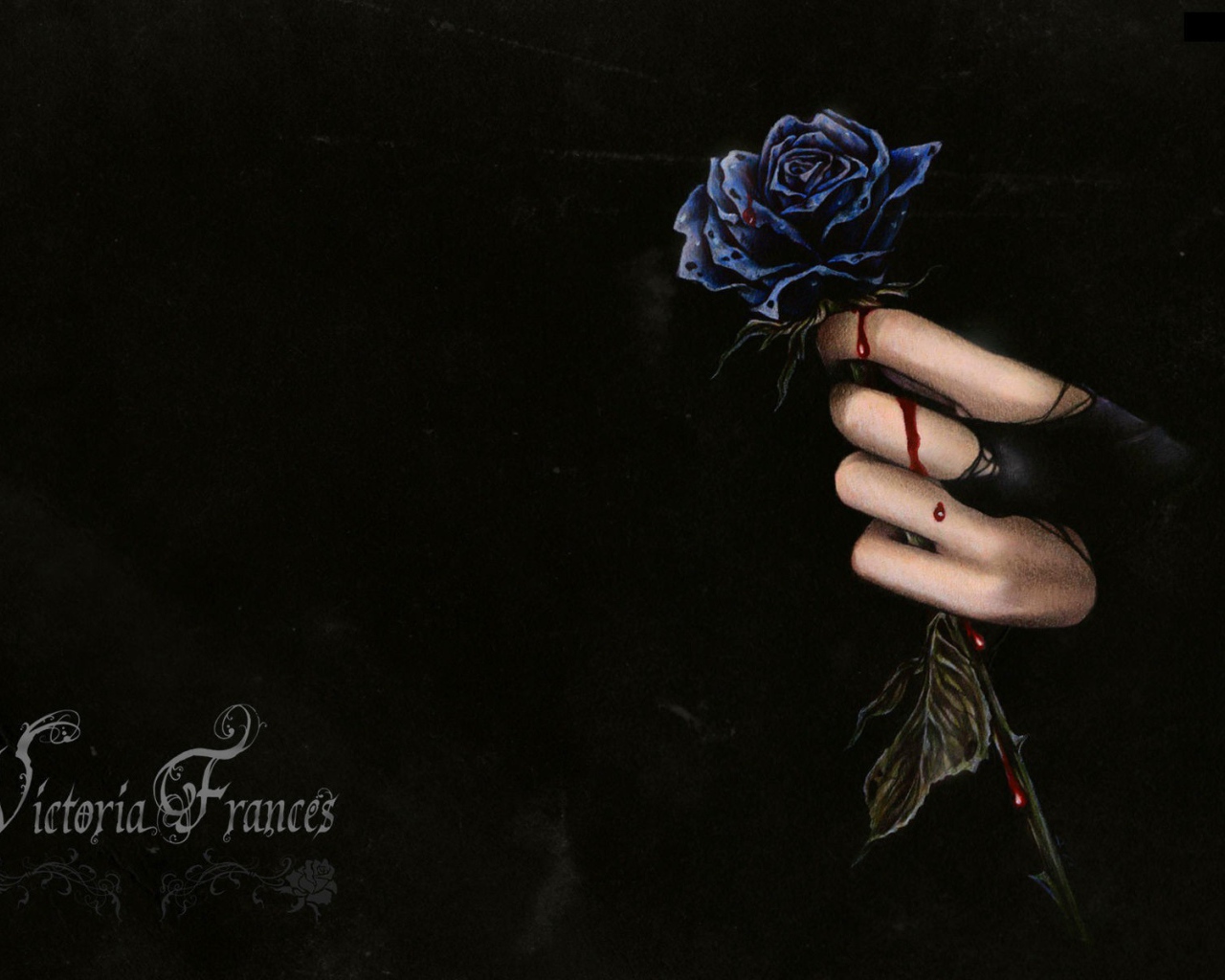 Капли крови на розе и руке