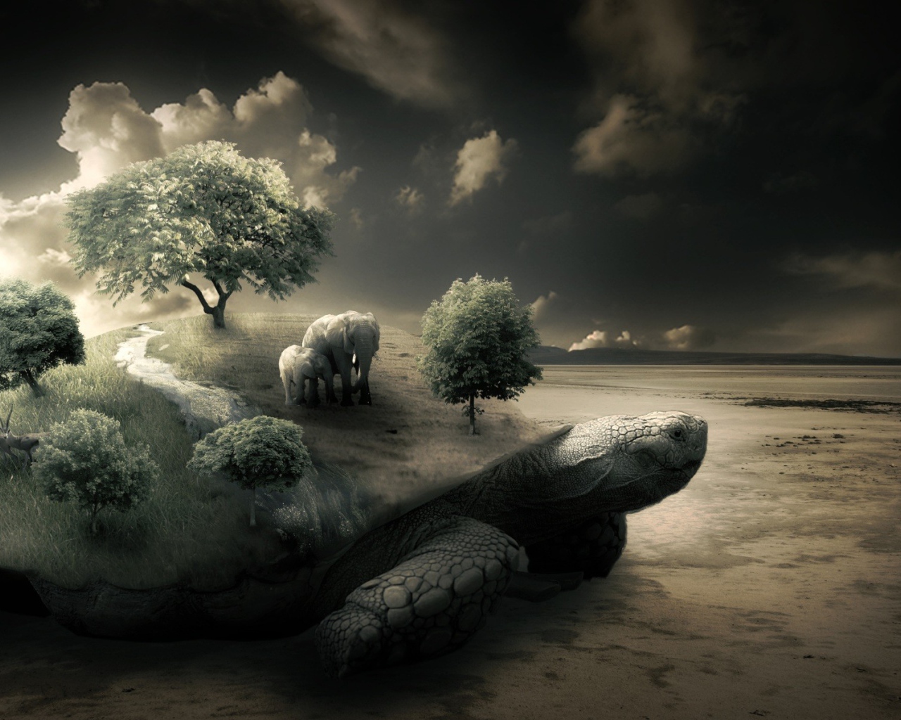 Слоны на черепахе на берегу моря