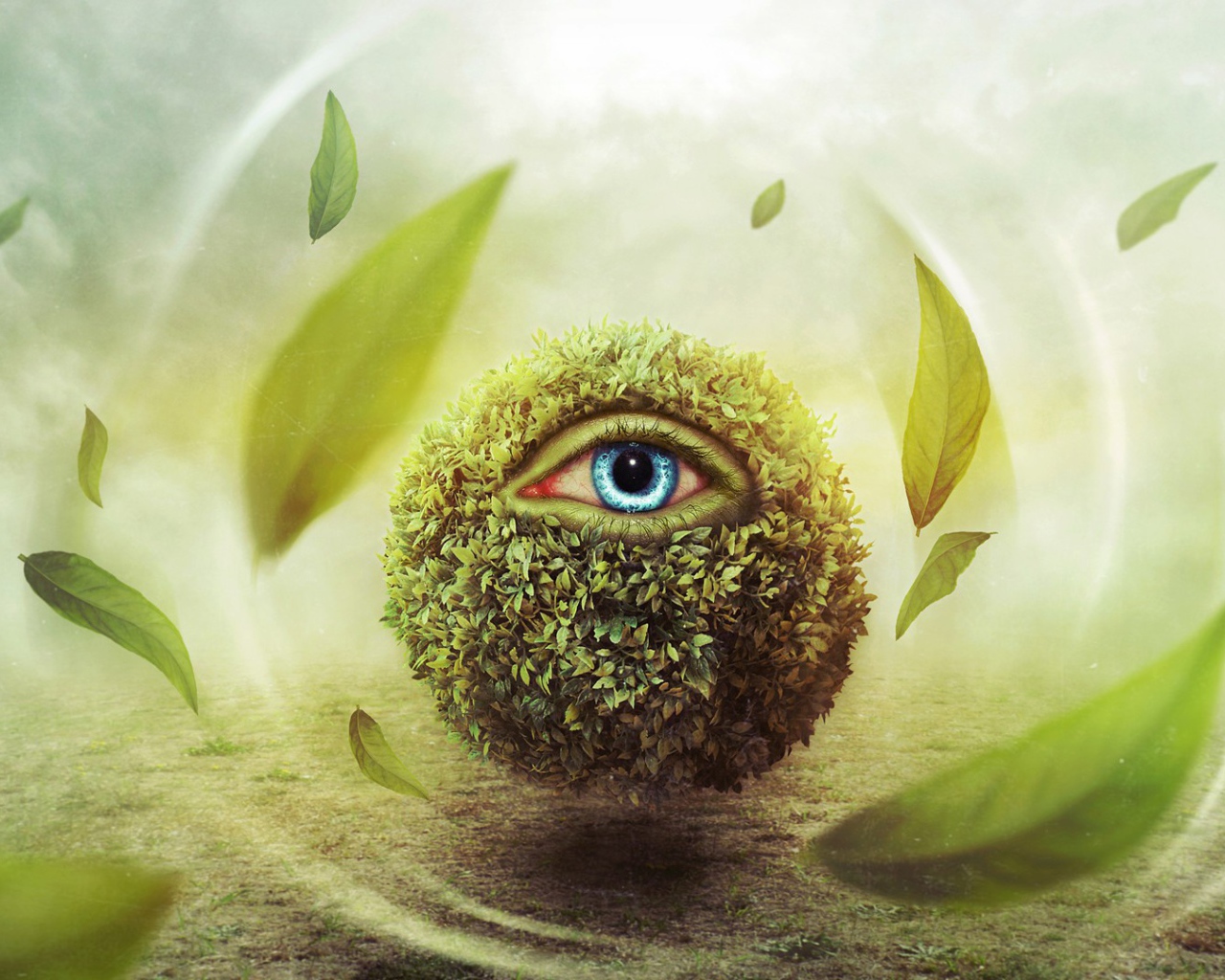 Глаз в шаре из листьев