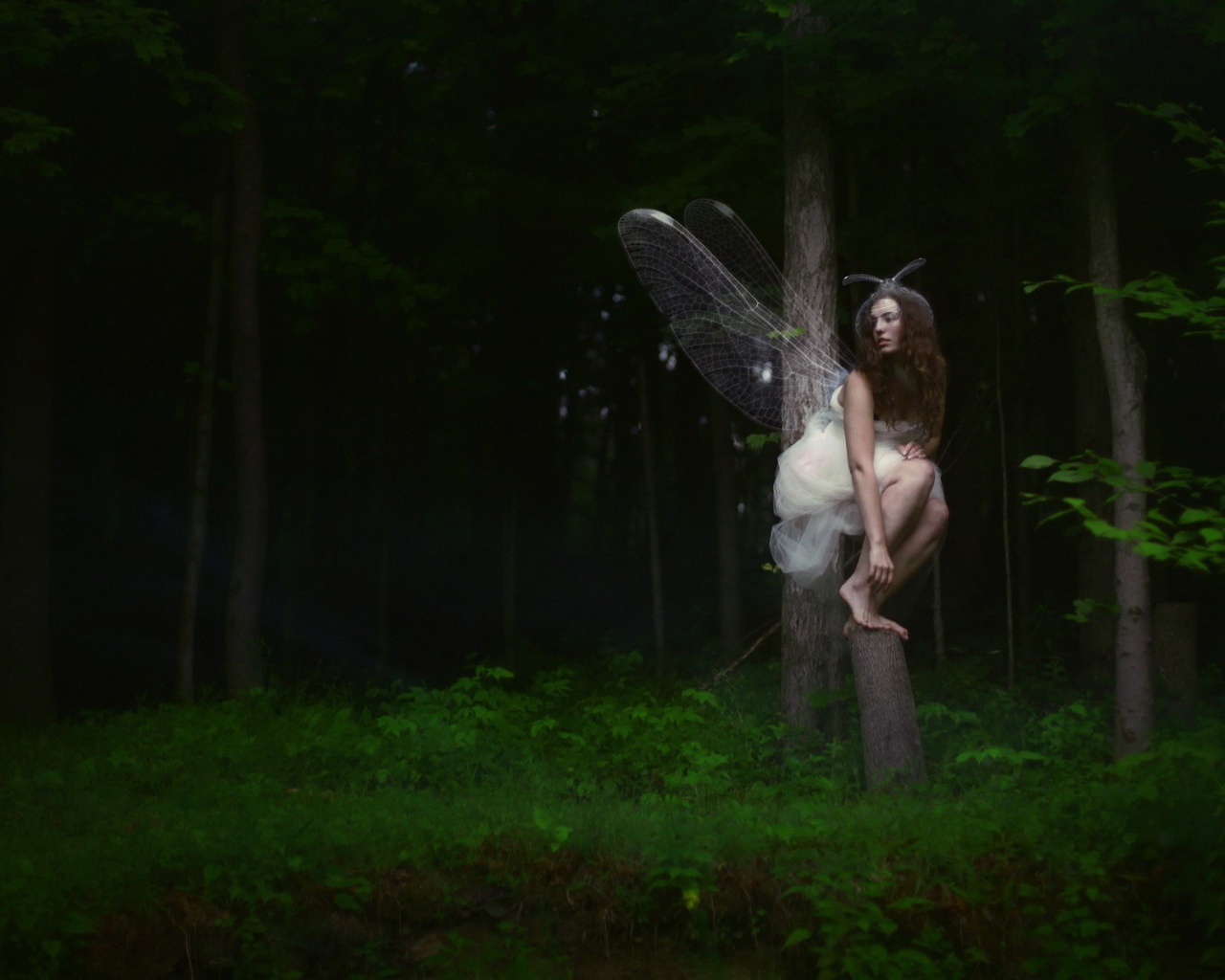 Девушка фея среди деревьев в чаще леса