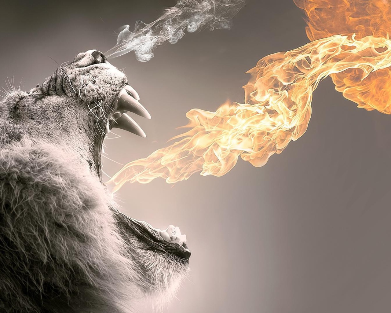 Пламя из пасти мохнатого животного