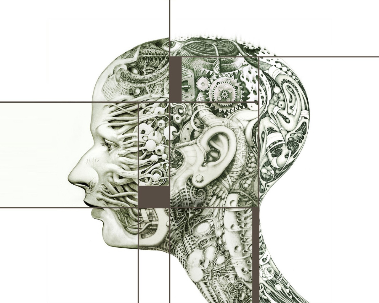 Шестеренки в голове человека