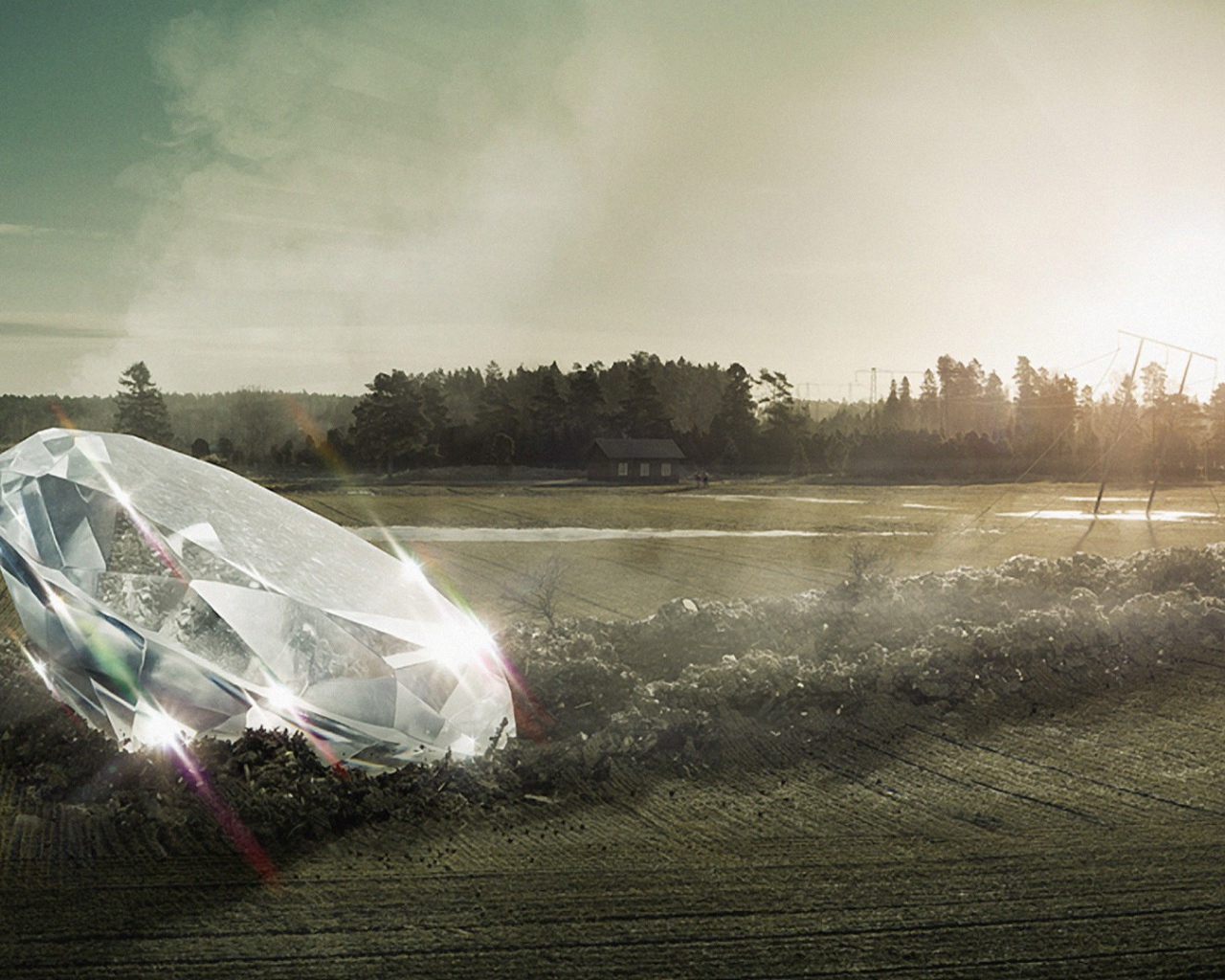 Огромный бриллиант упал на поле