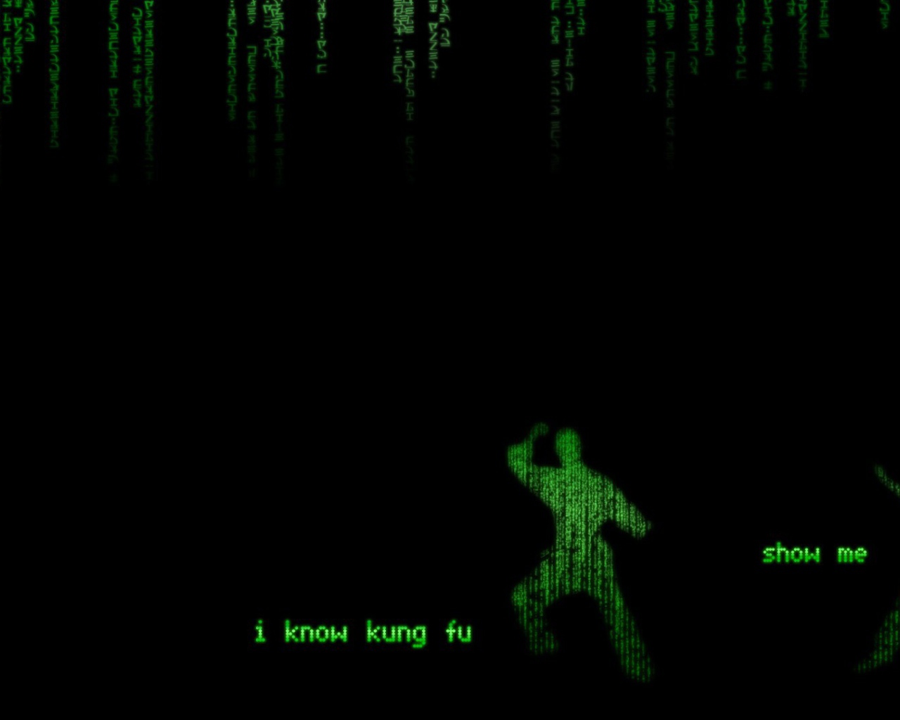 Кунг-фу в Матрице