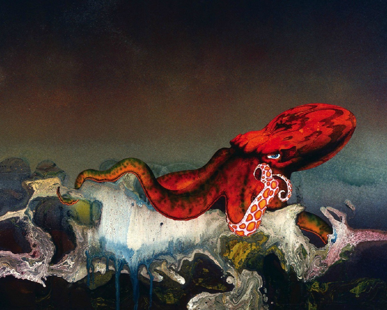 Владыка морей красный осьминог