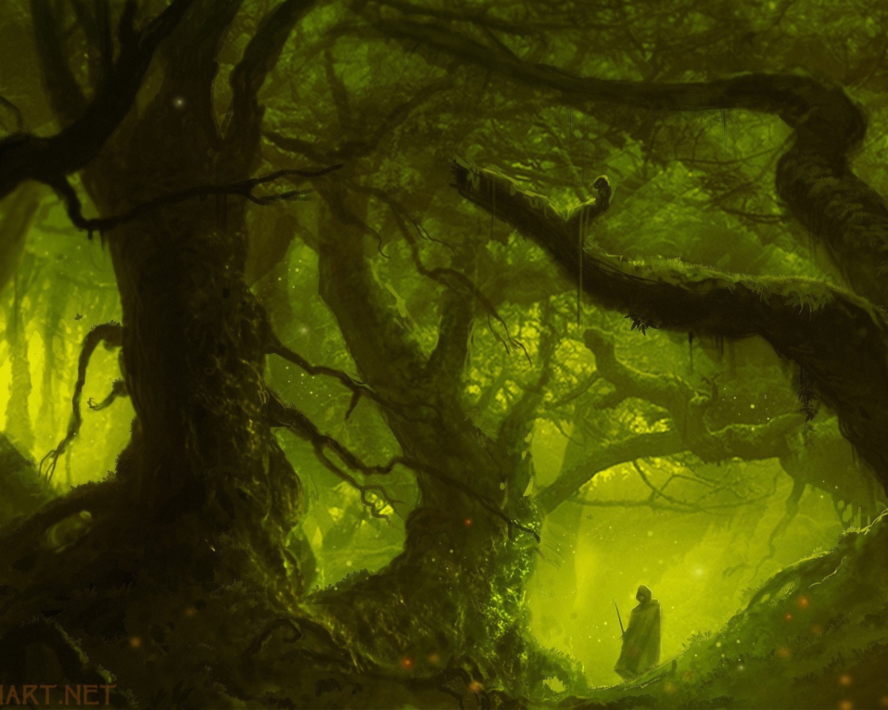 Магический лес в зеленой мгле