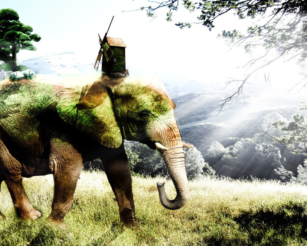 Покрытый мхом слон