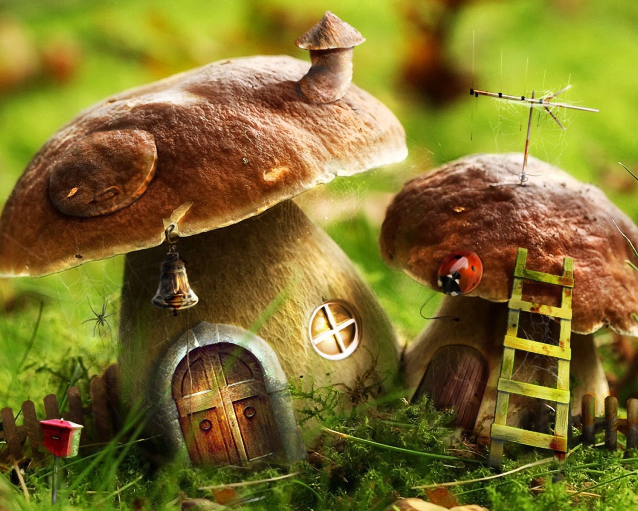 Грибы стали домиками