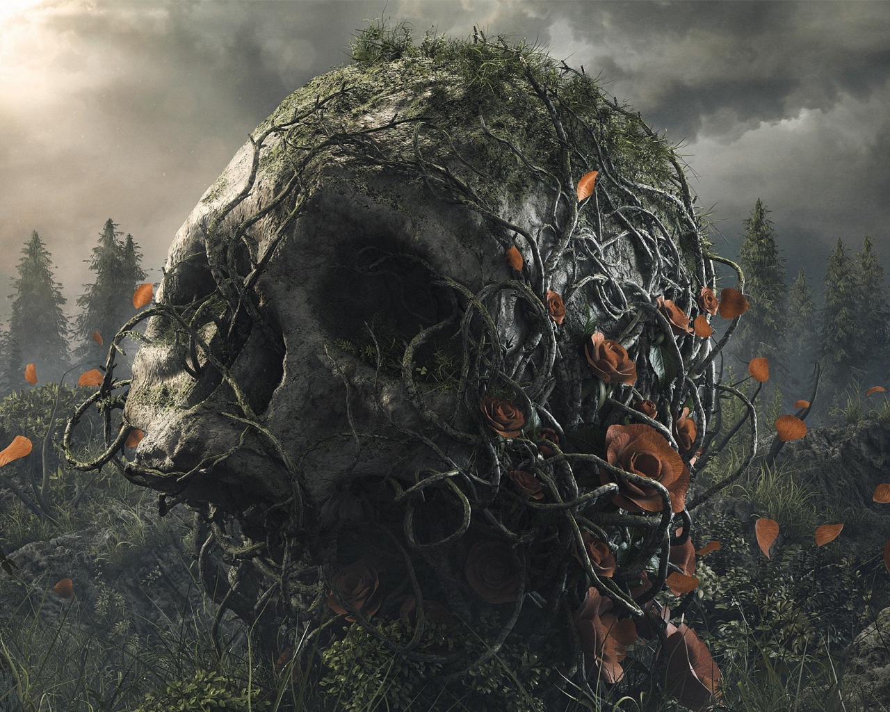 Поросший лианами большой череп