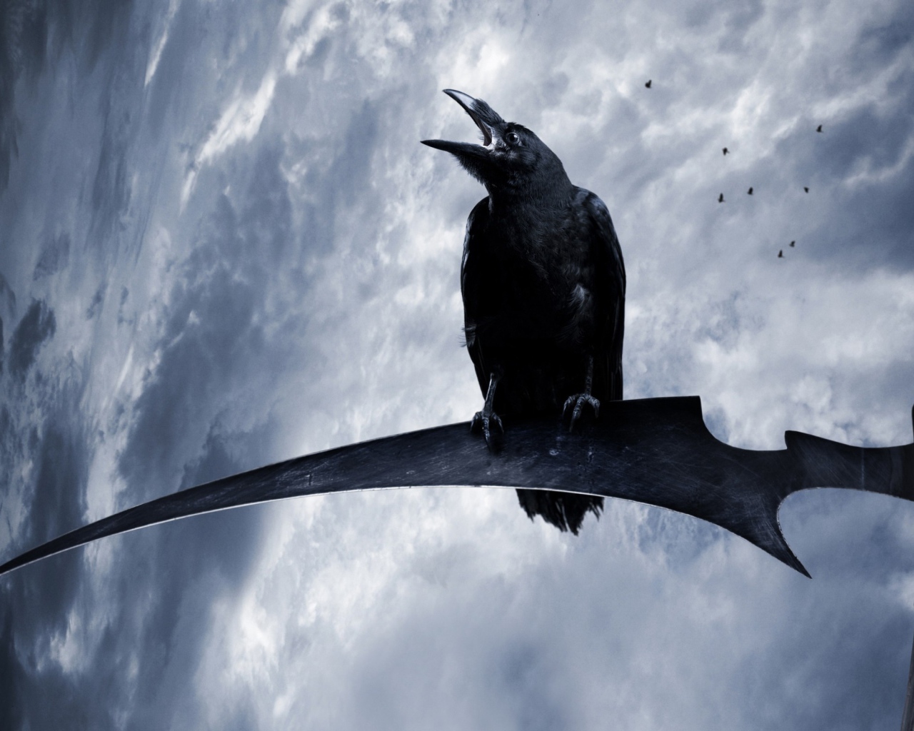 Ворон на косе