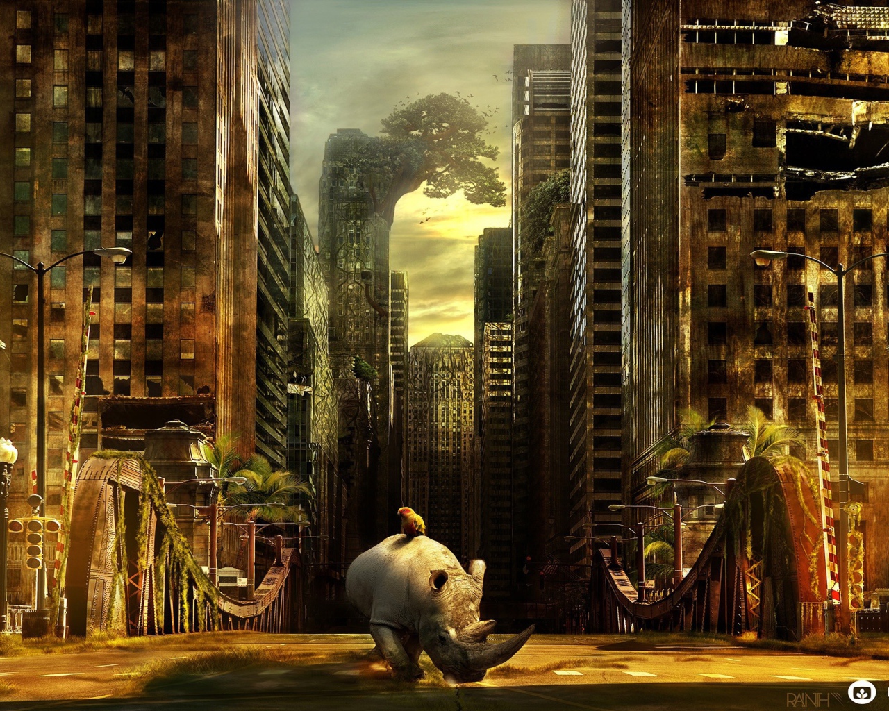 Носорог гуляет в брошенном городе