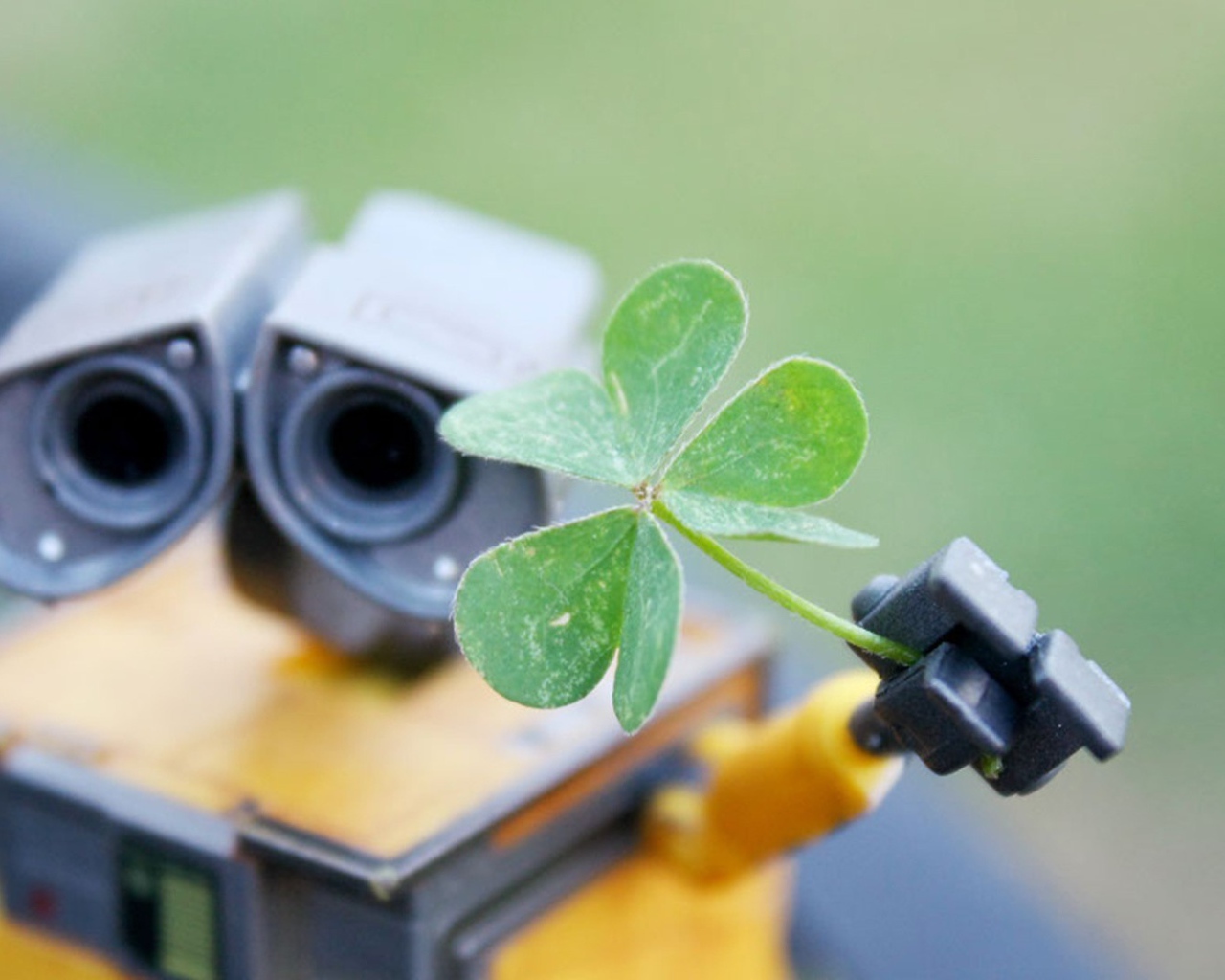 Робот Валли подает зеленый росток