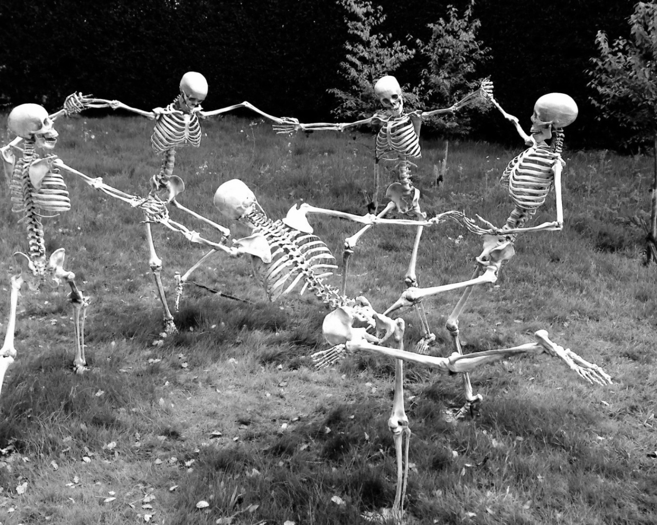Скелеты водят хоровод