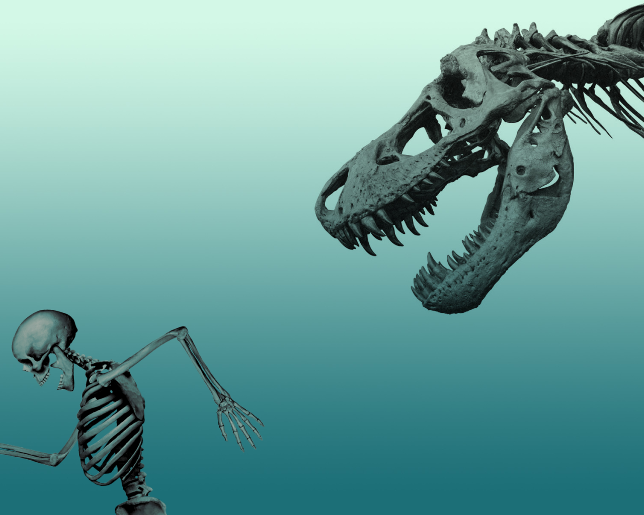 Скелет динозавра гонится за скелетом человека