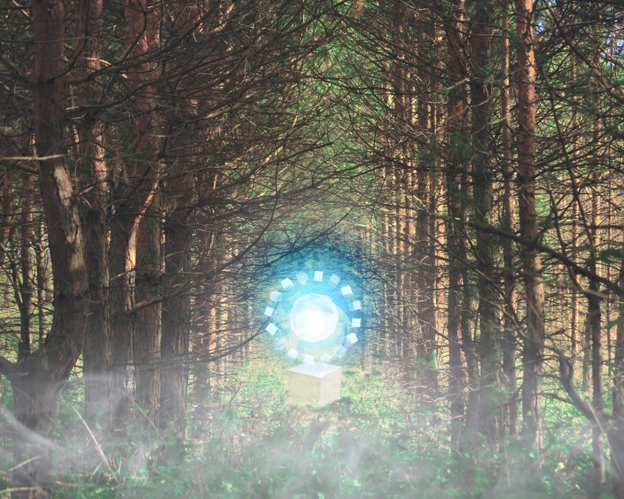 Временной портал посреди леса