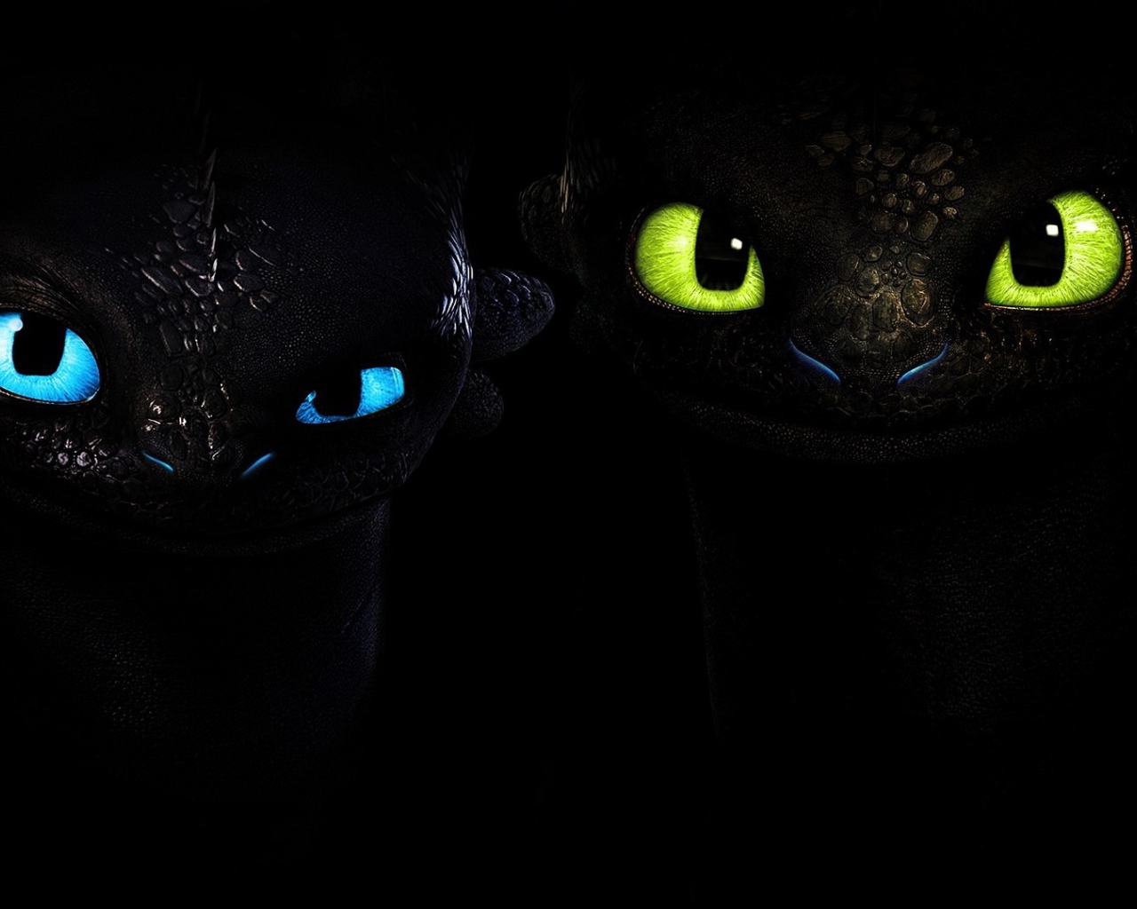 Два малыша черного дракона