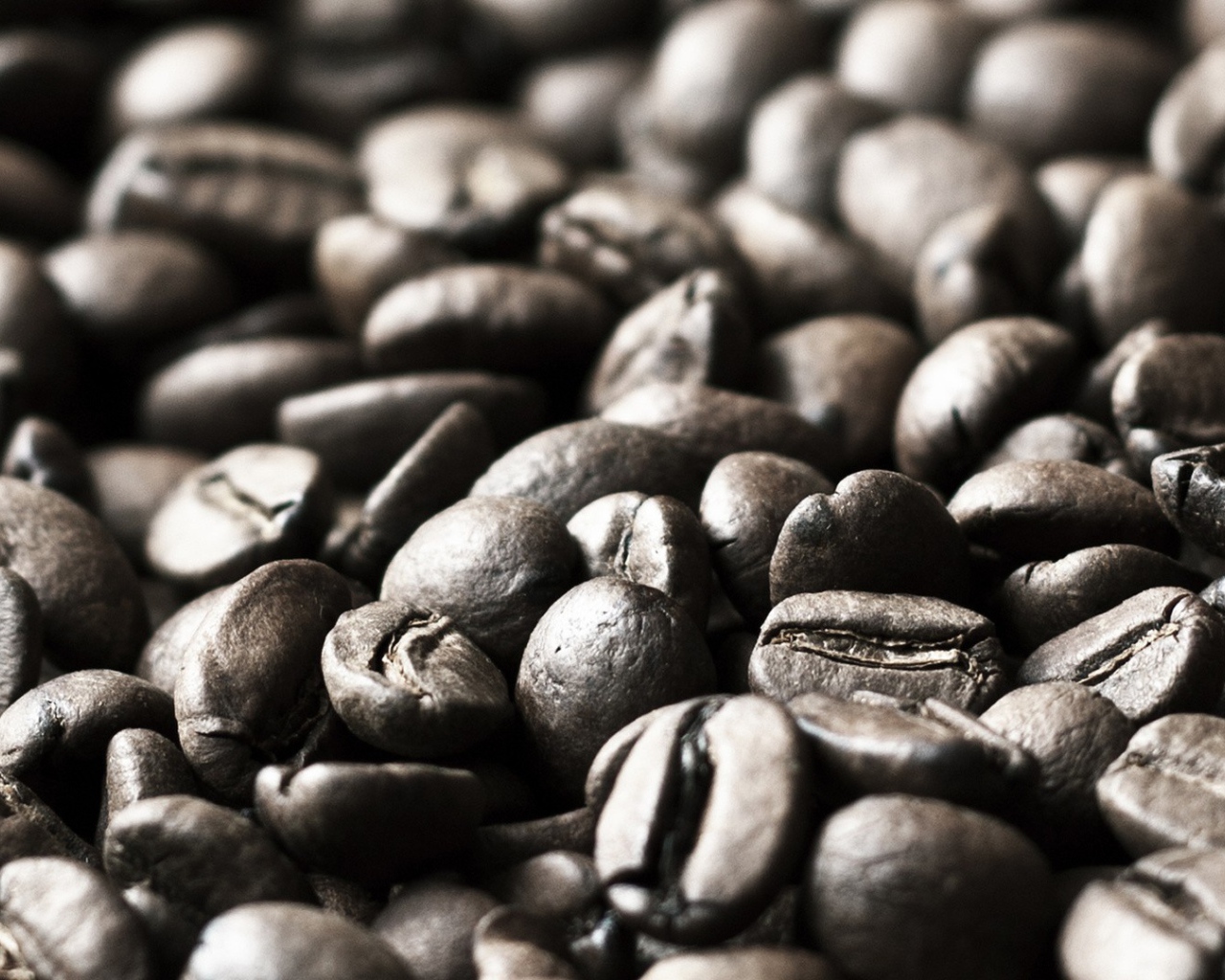 Черно белое фото зерен кофе