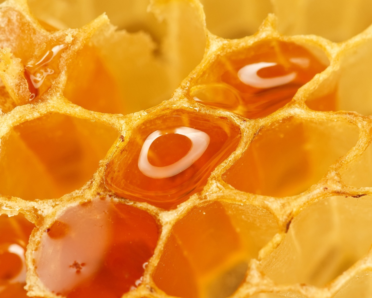 Полные соты меда