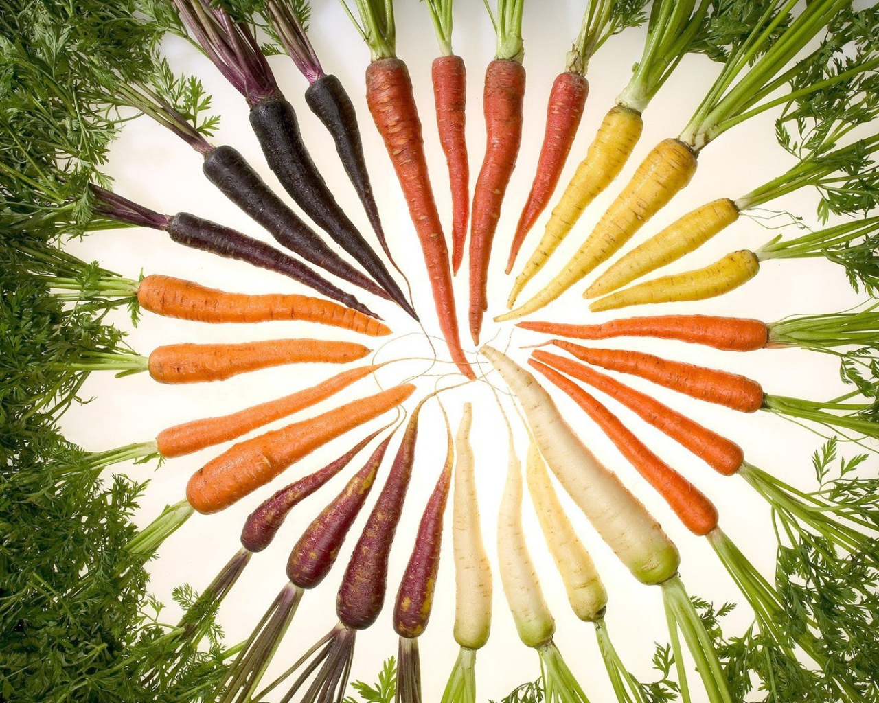 Набор моркови разного цвета