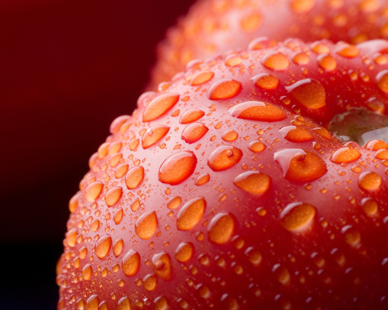 Влажный красный помидор