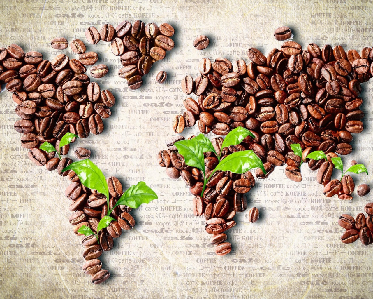 Карта мира из зерен кофе