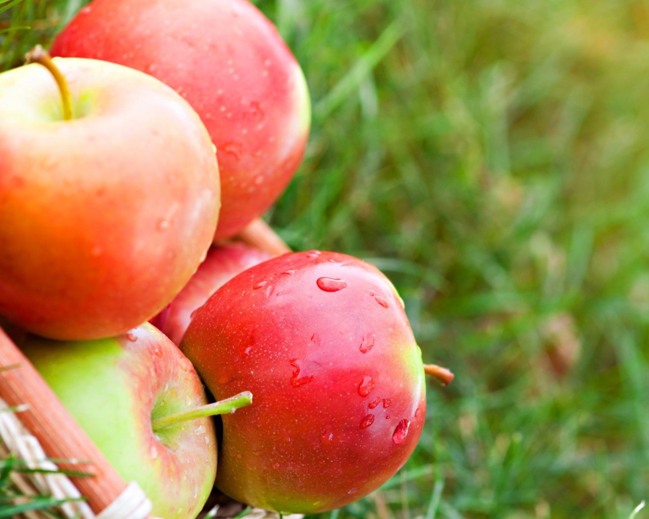 Яблоки лежат на траве