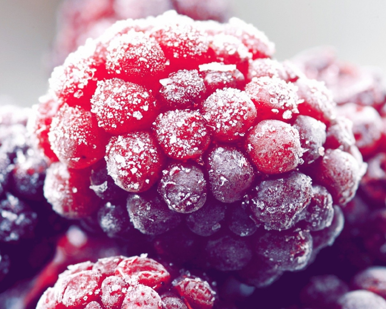 Иней на малине