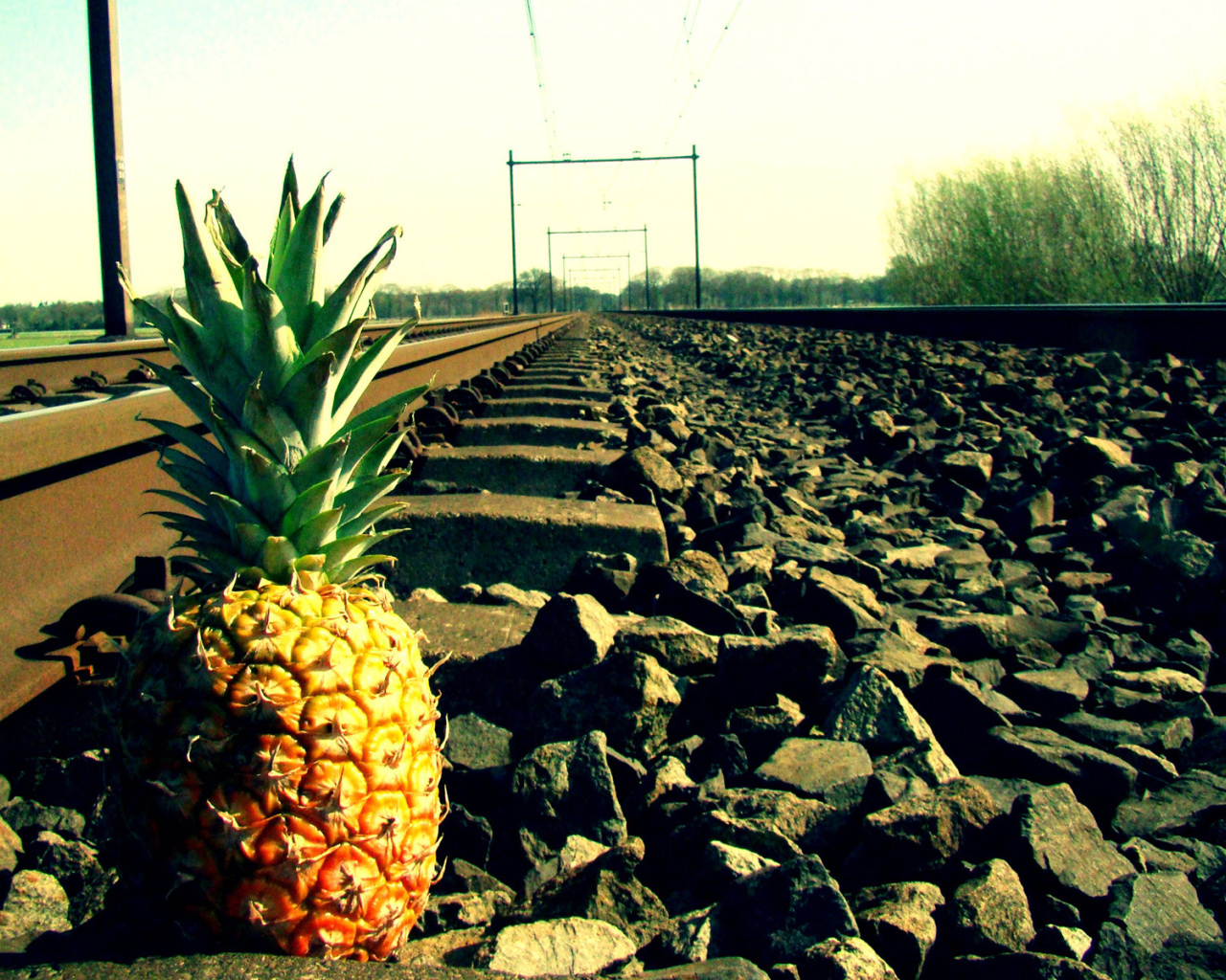 Ананас у рельса