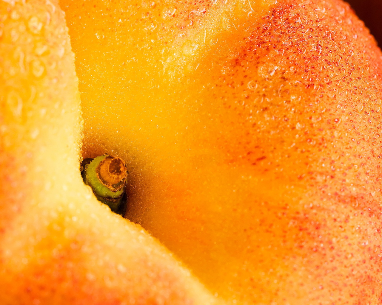 The cuttings of peach