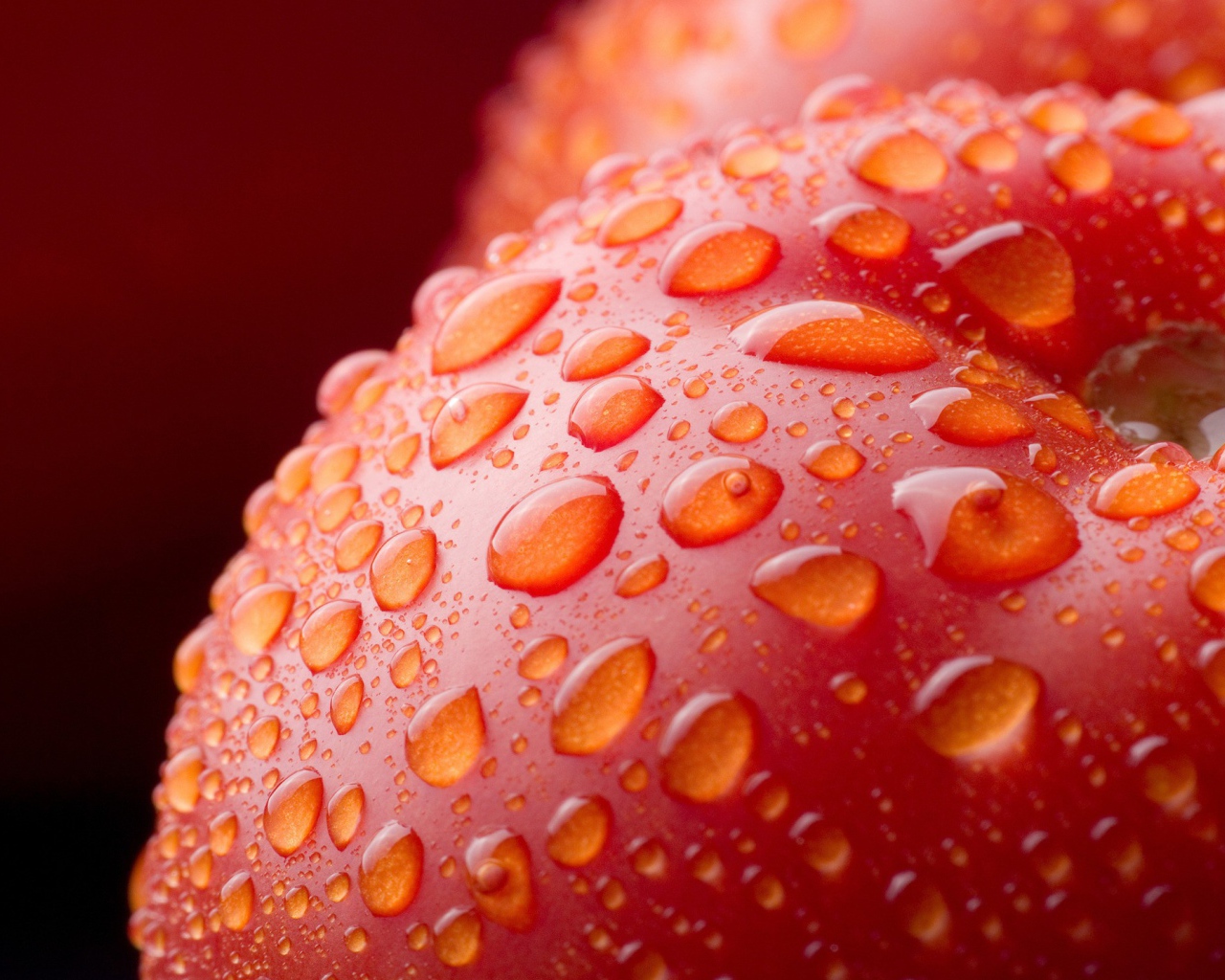 Мокрое красное яблоко