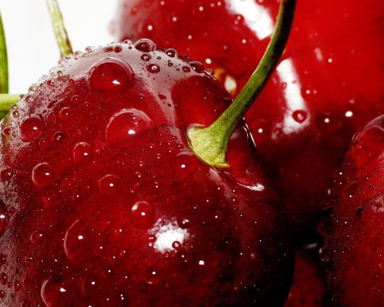 Мокрые спелые вишни