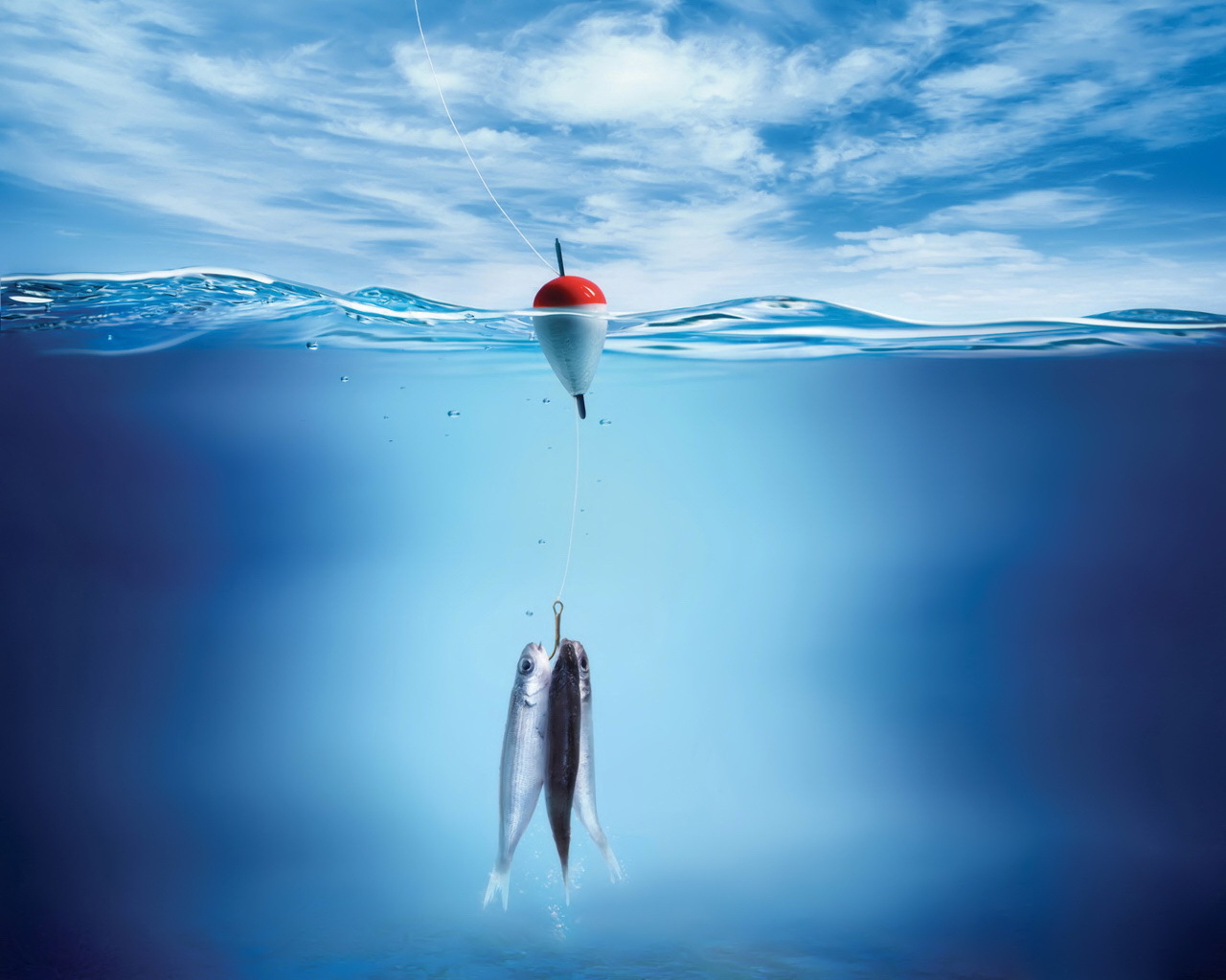 Три рыбы на крючке