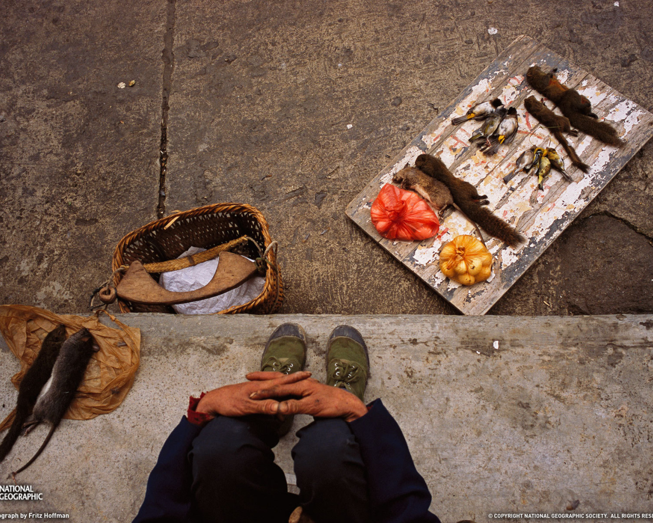 Торговля деликатесами