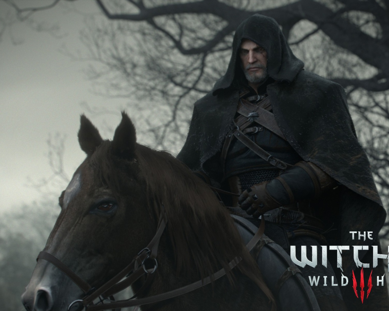 Черный всадник в игре The Witcher 3 Wild Hunt