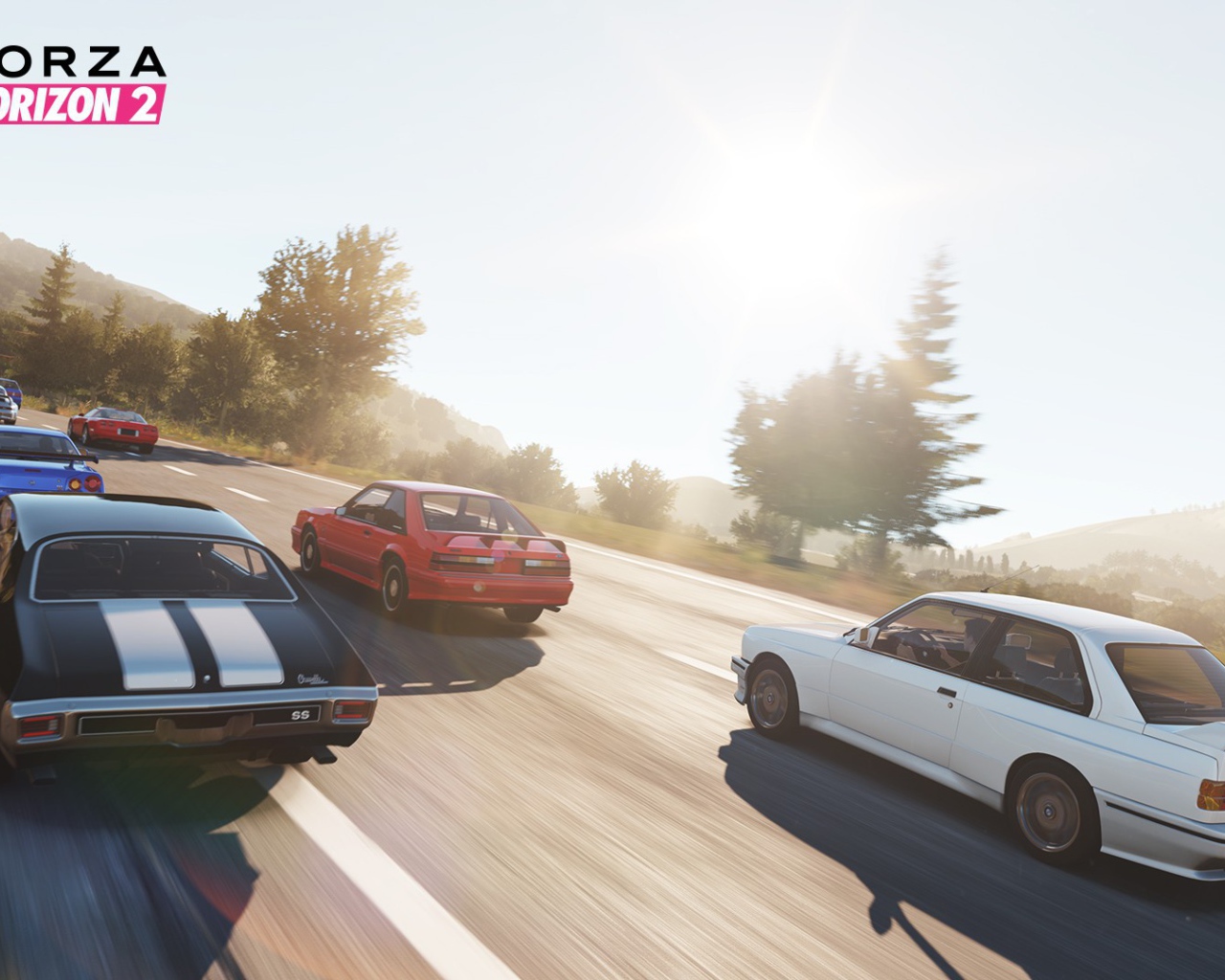 Компьютерная игра Forza Horizon 2