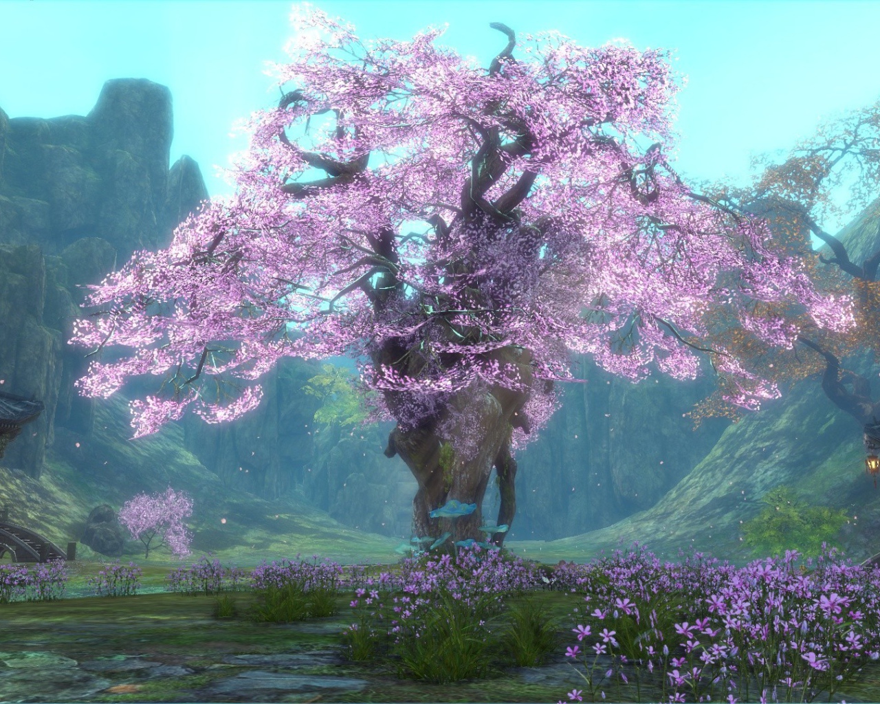 Сакура в игре Blade & Soul