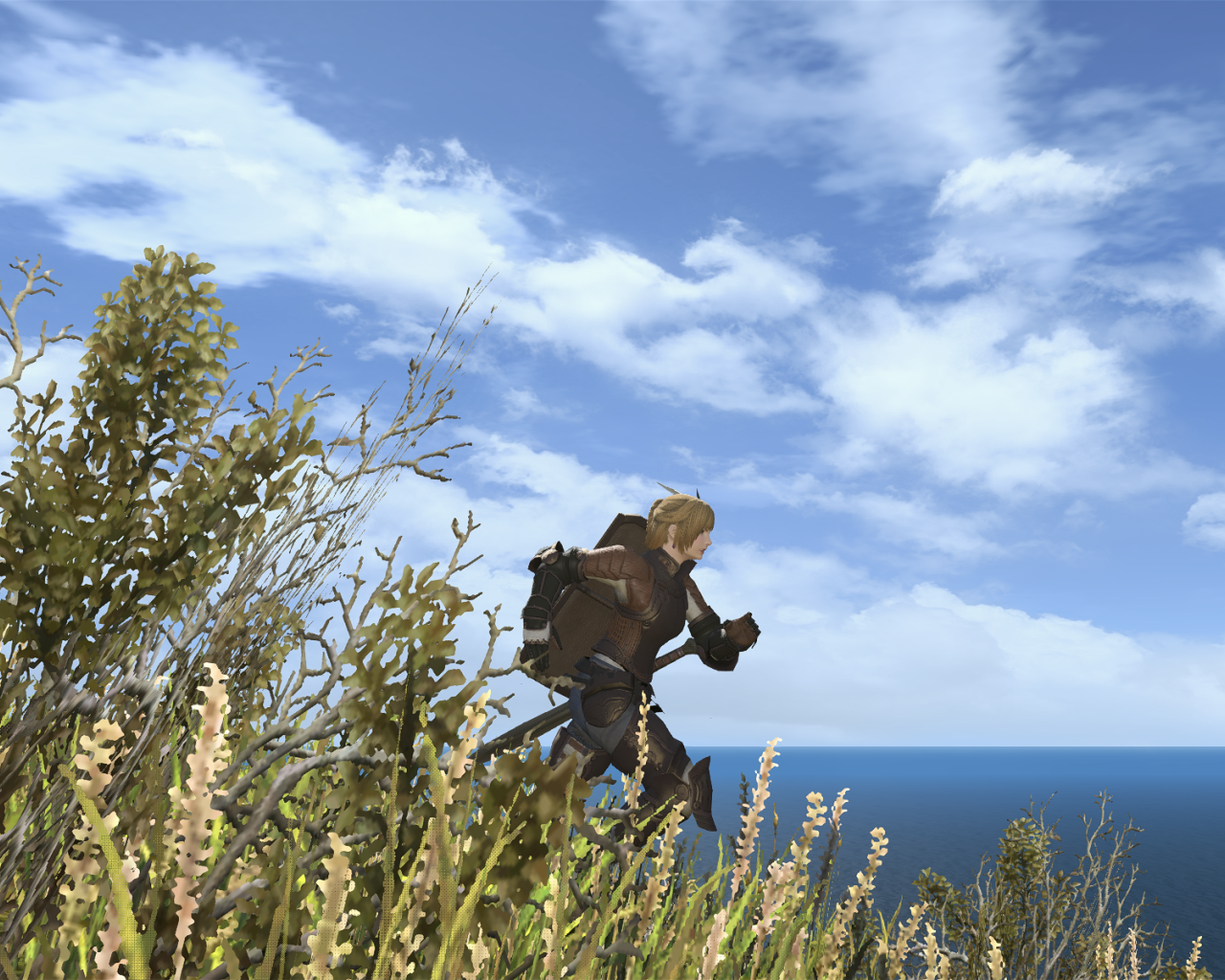 Мир игры Final Fantasy XIV