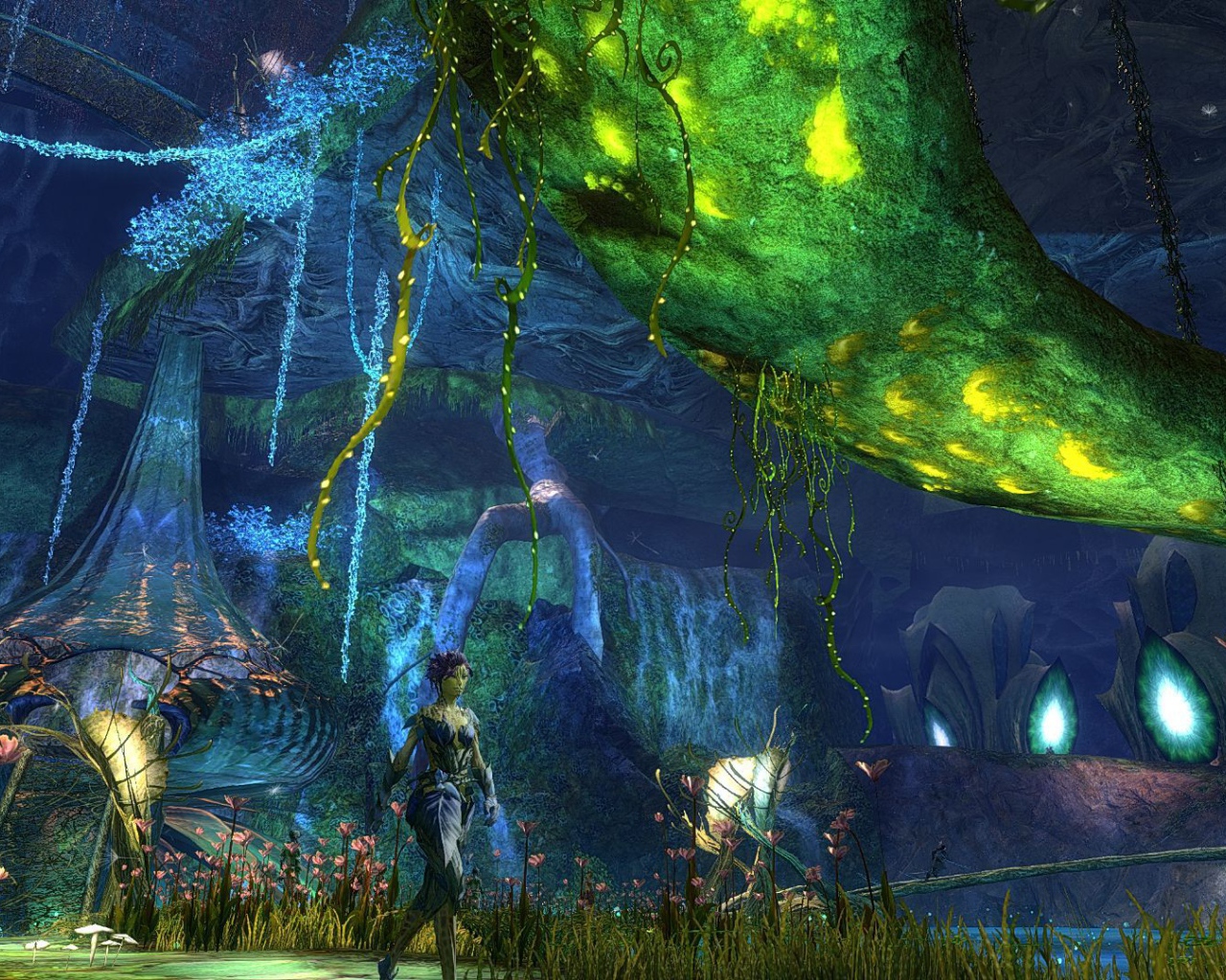 Мир игры Guild Wars