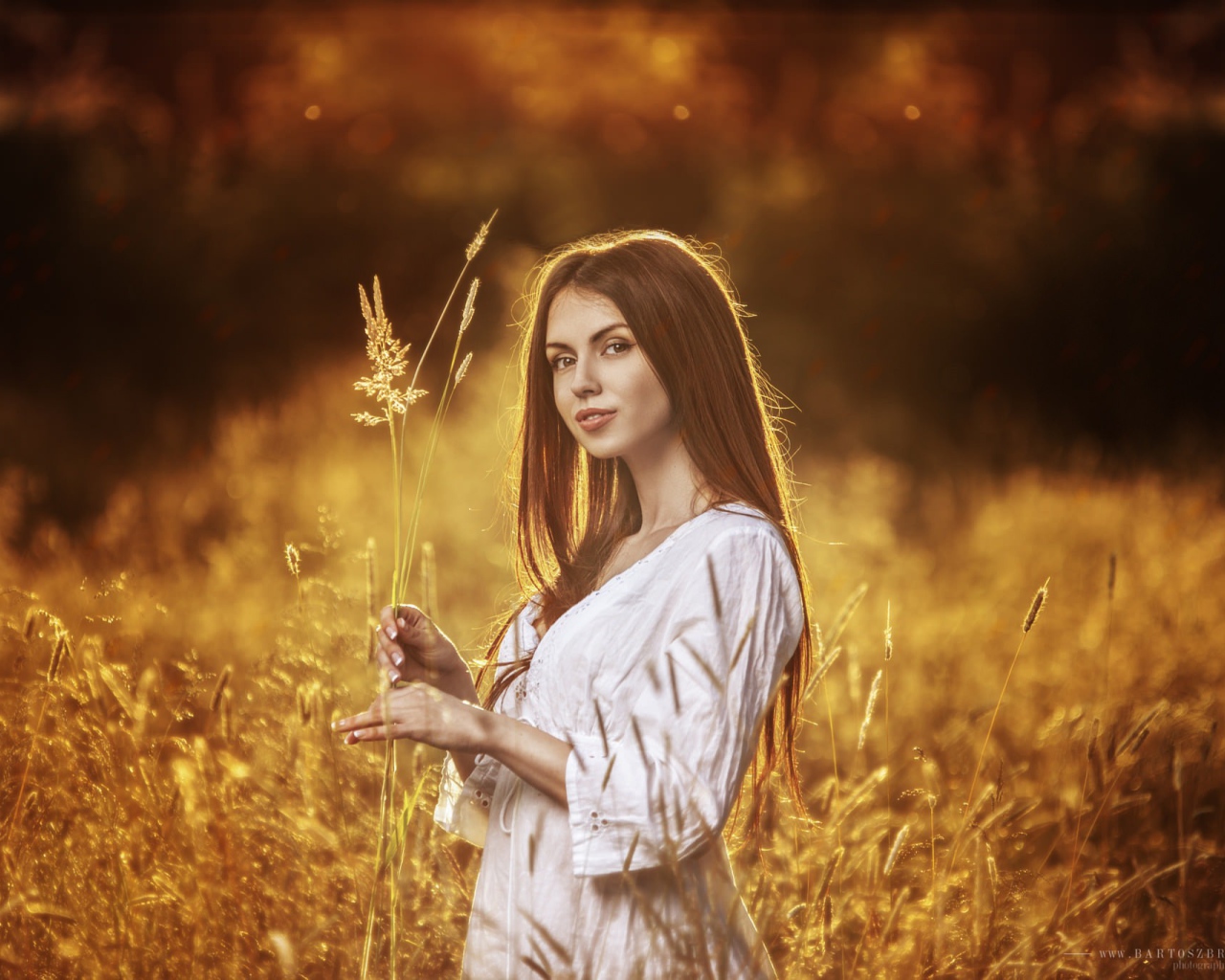 Девушка в белом платье держит в руке колоски
