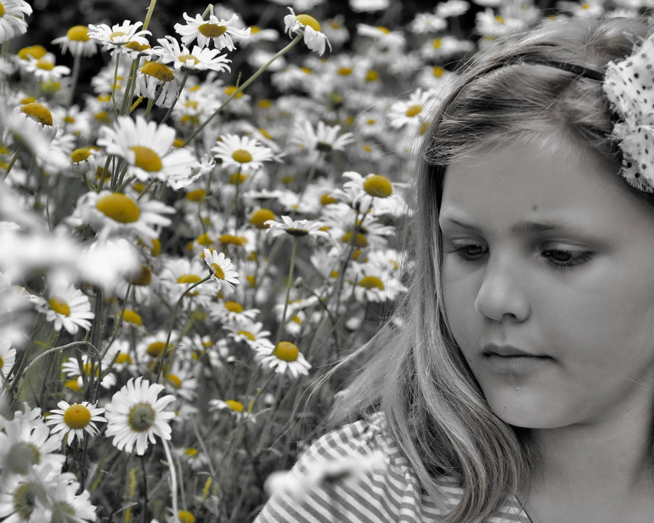 Черно белая девушка на фоне ромашек