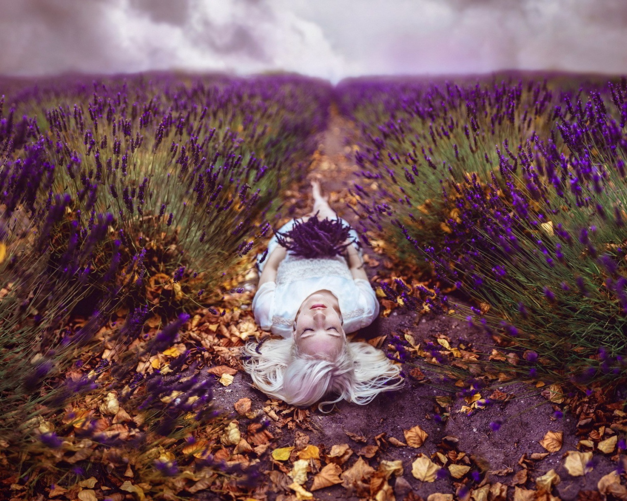 Блондинка лежит на тропе среди поля лаванды