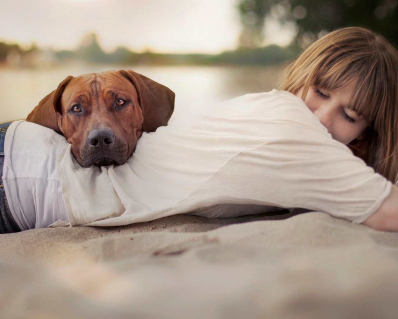 Собака положила голову на спину девушки